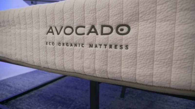 avocado eco organic closeup