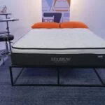 nest bedding sparrow hero