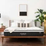 nest bedding sparrow mattress