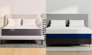 _wp_attachment_image_alt