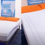 purple vs purple hybrid