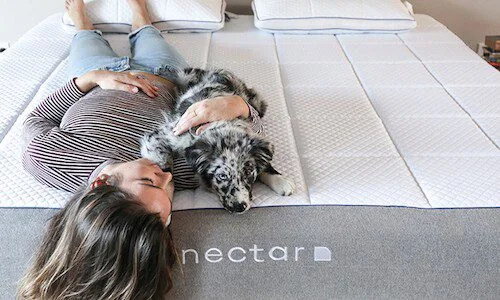 _wp_attachment_image_alt