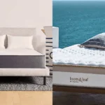 Untitled design 15 1