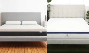 _wp_attachment_image_alt