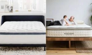 _wp_attachment_image_alt