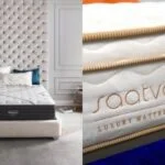 Beautyrest vs