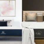 brooklyn bedding vs puffy