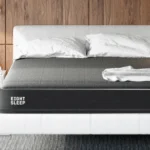 Screen Shot 2020 09 11 at 12