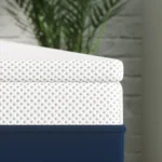 Screen Shot 2023 03 22 at 2