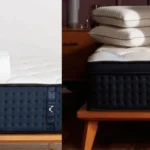 dreamcloud vs dreamcloud premier