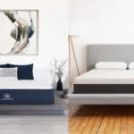 brooklynbeddingvsbear