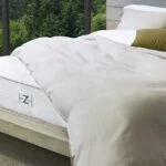 ZENHAVEN FULL