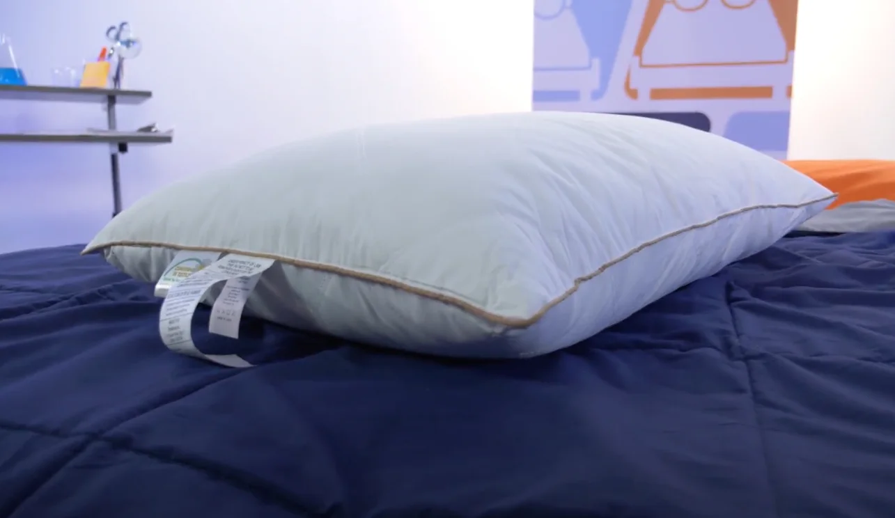 Puredown Goose Feather and Down Pillow