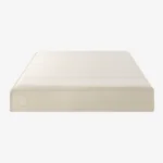 Screen Shot 2023 02 10 at 4