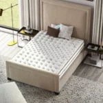 Screen Shot 2022 11 14 at 2