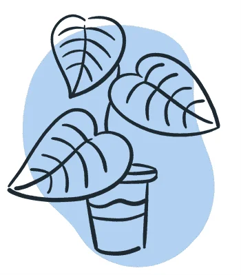 SetOutIndoorPlants min