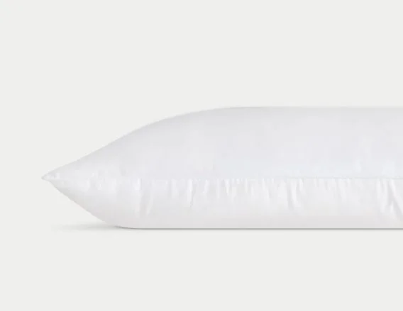 Cozy Earth Silk Pillow