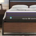 nectar premier hybrid hero