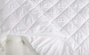 _wp_attachment_image_alt