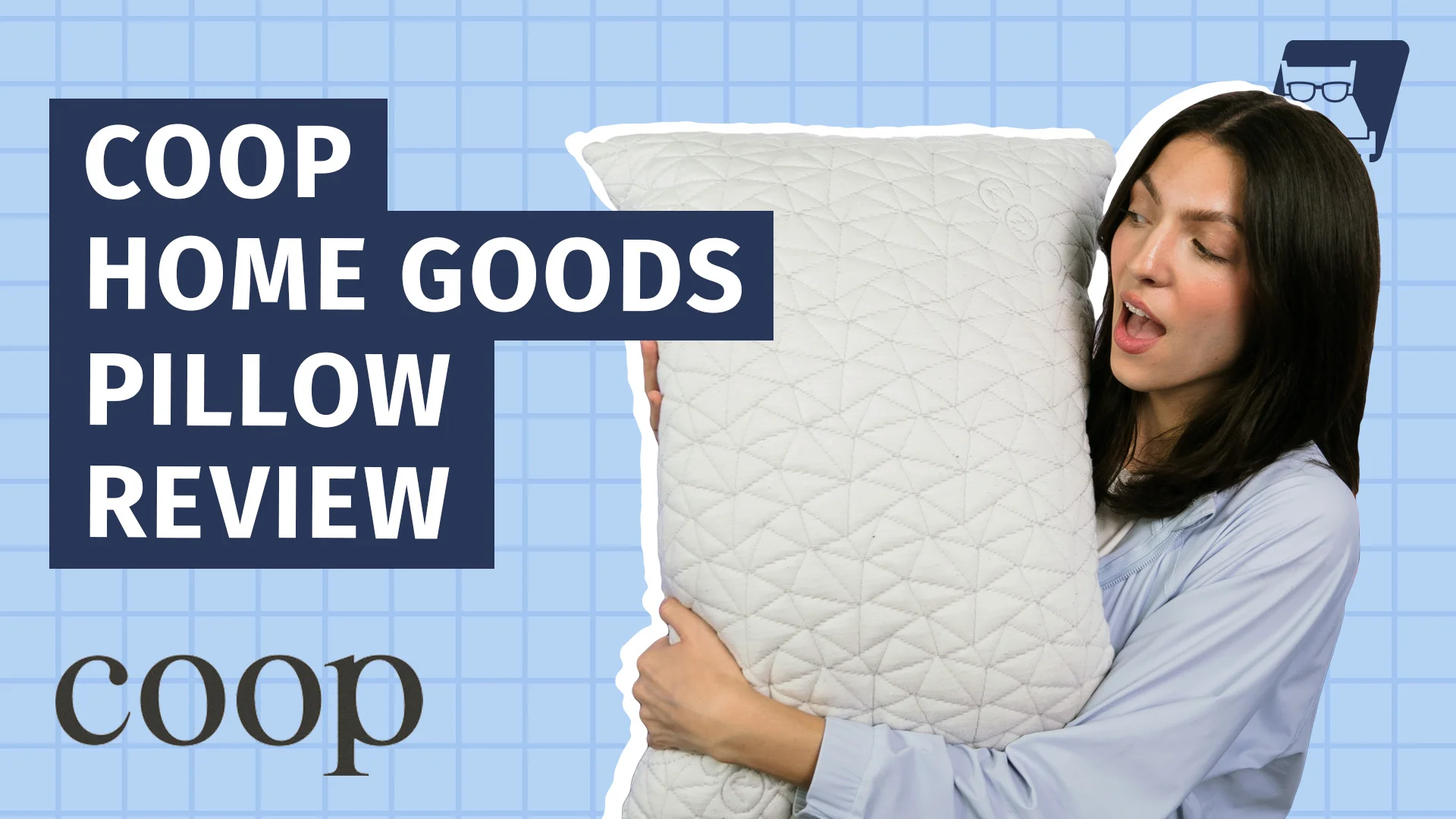 Go to Coop Sleep Goods Original Pillow Review