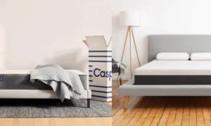 _wp_attachment_image_alt