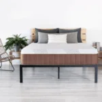 dreamfoam copper dreams lifestyle