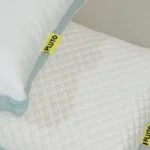 Screen Shot 2023 02 13 at 12