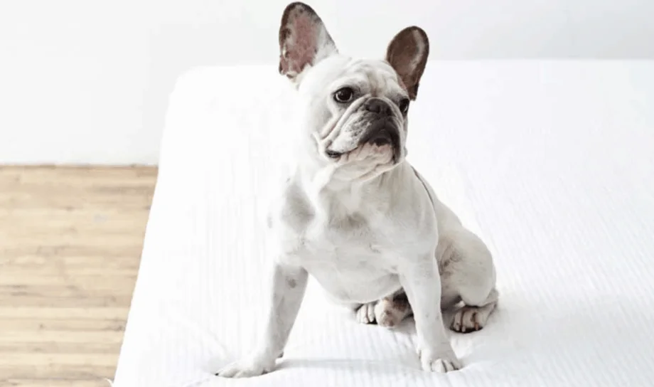 Helix Waterproof Mattress Protector