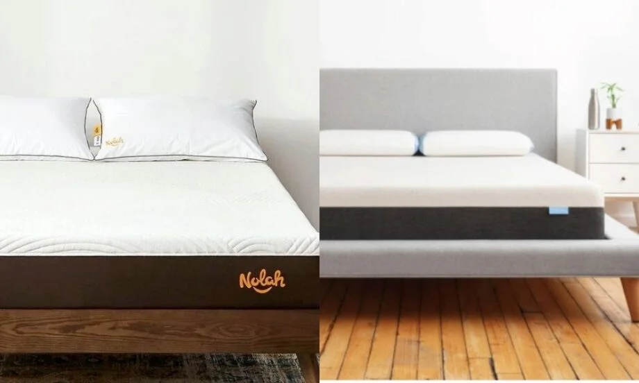 Go to Bear vs. Nolah Mattress Comparison