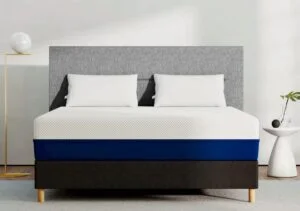 _wp_attachment_image_alt