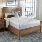 restonic scott living